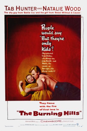 AffichecinemaThe Burning Hills